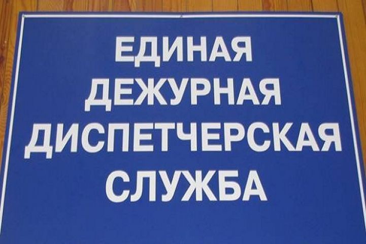 edds12.jpg