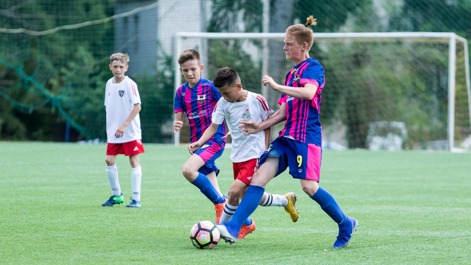 20190531da.jpg