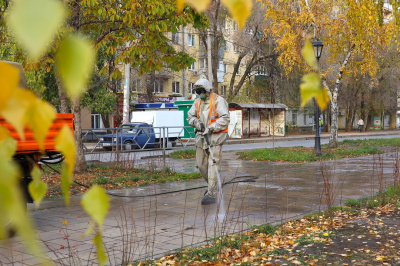 zag1Sanobrabotka-allei-na-Revolyutsionnoy.JPG