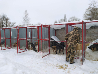 izobrazhenie_viber_2021_01_15_10_08_432.jpg